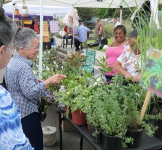 News Image Farmers Market Stand