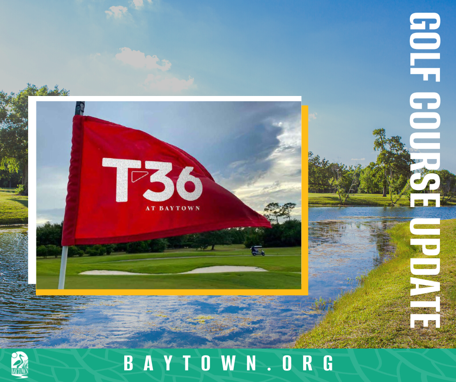 T36 In BaytownGolf (3)
