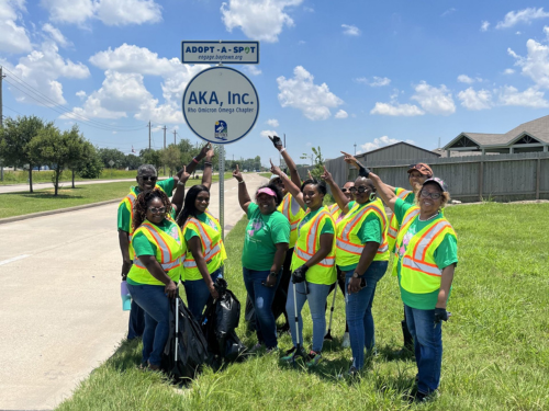 AKA Rho Omicron Omega