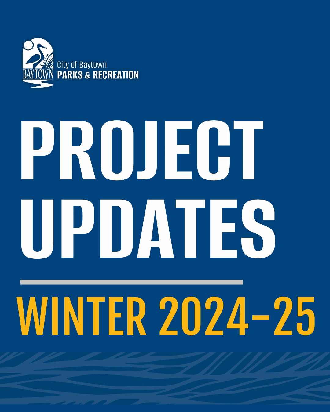 Project Updates Winter 2024-25